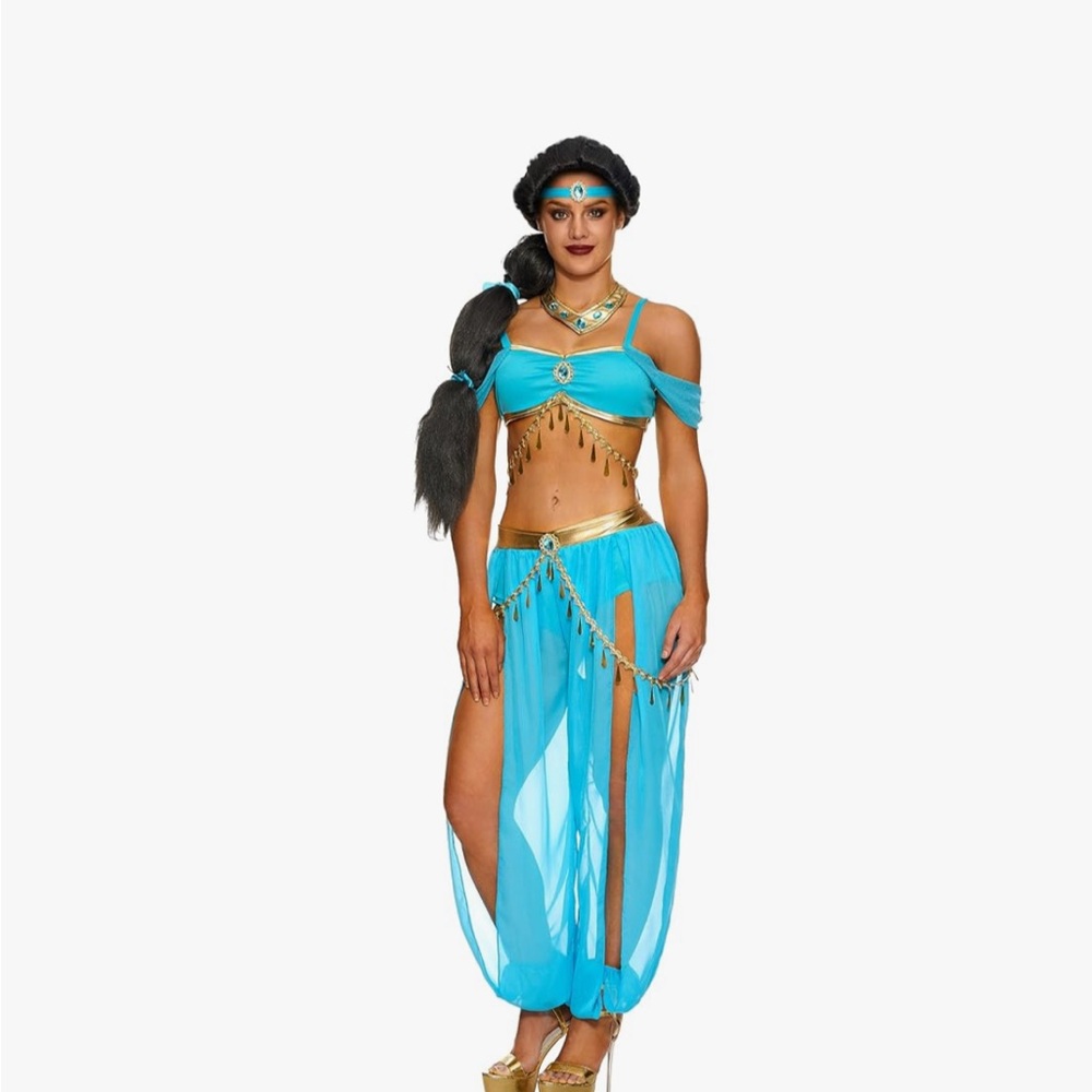 Princess Jasmine Halloween Costume- Size Medium
